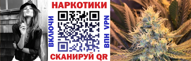 Купить наркотик Снежногорск Alpha PVP  Псилоцибиновые грибы  Меф мяу мяу  Каннабис  Кокаин  Амфетамин 