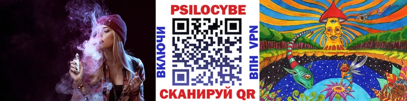 как найти наркотики  Снежногорск  Галлюциногенные грибы мицелий 